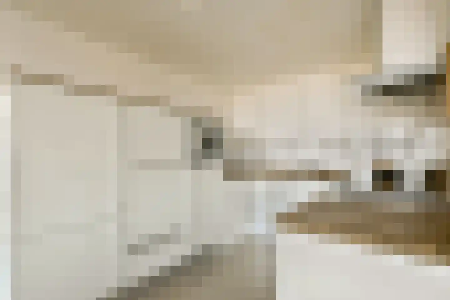 Fluweelboomlaan 107 Amstelveen thumbnail 8