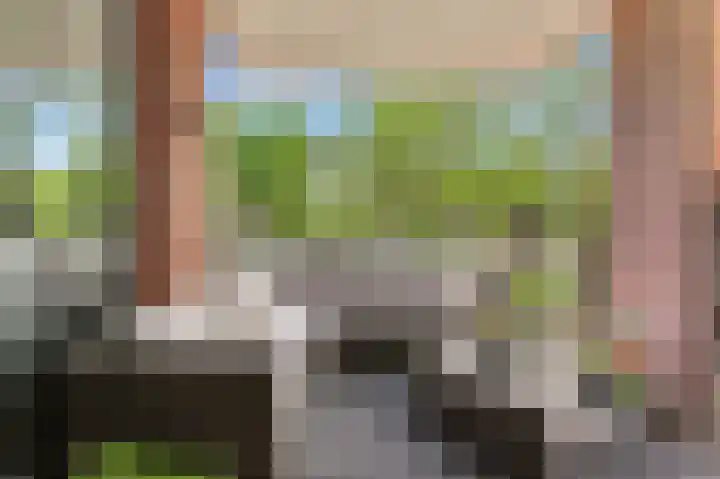 Fluweelboomlaan 11 Amstelveen thumbnail 17