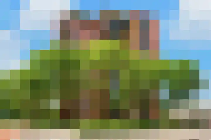 Fluweelboomlaan 11 Amstelveen thumbnail 19