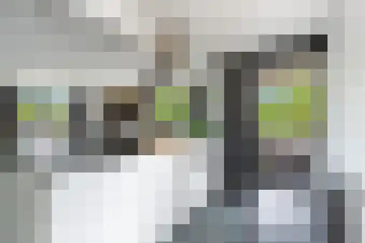 Fluweelboomlaan 11 Amstelveen thumbnail 7