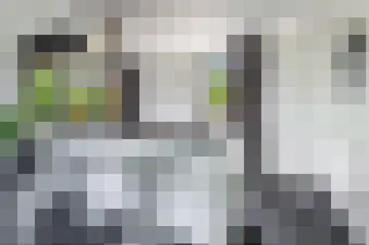 Fluweelboomlaan 11 Amstelveen thumbnail 8