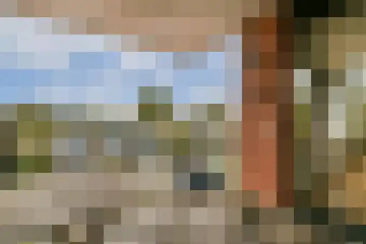 Fluweelboomlaan 19 Amstelveen thumbnail 16
