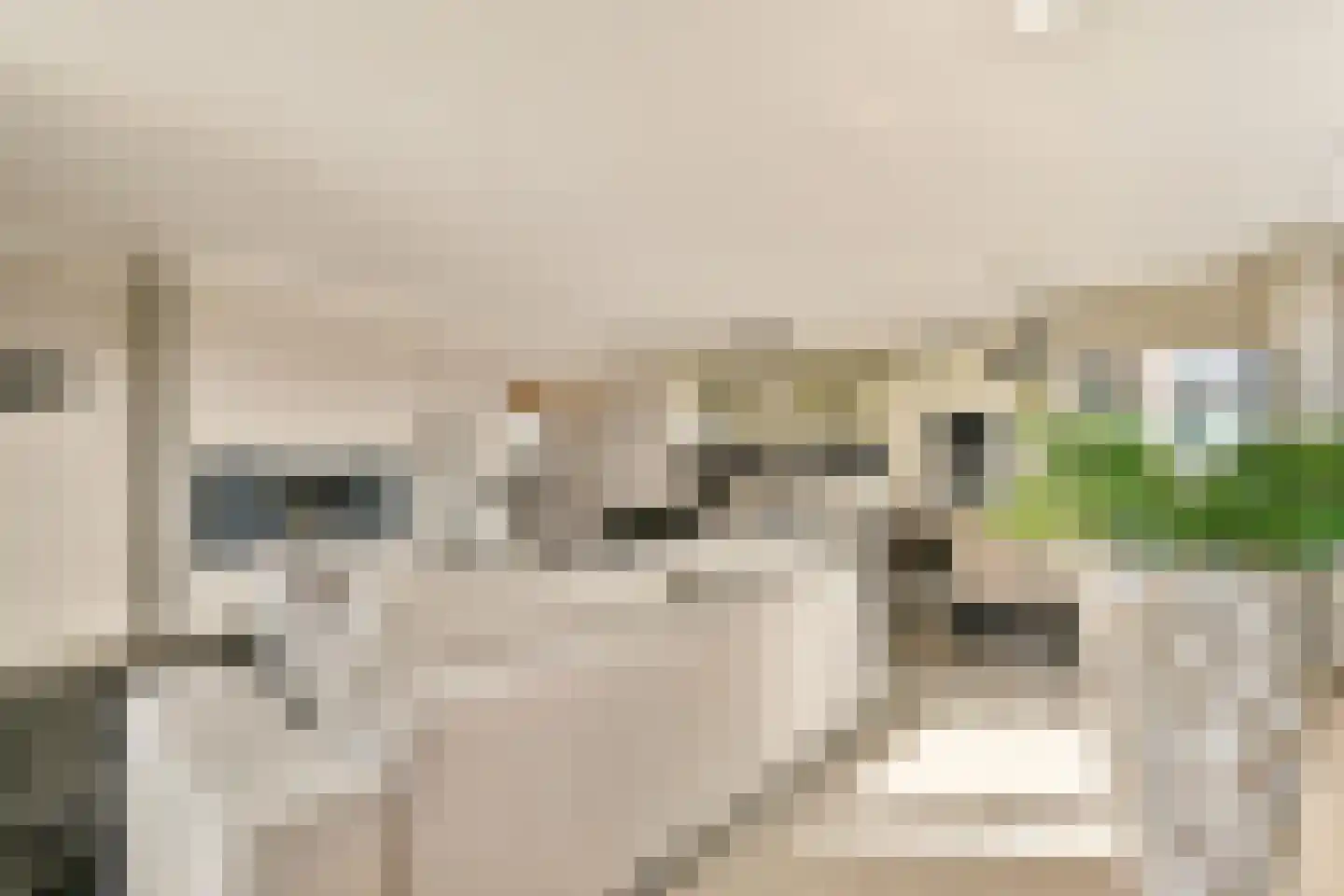 Fluweelboomlaan 79 Amstelveen thumbnail 11