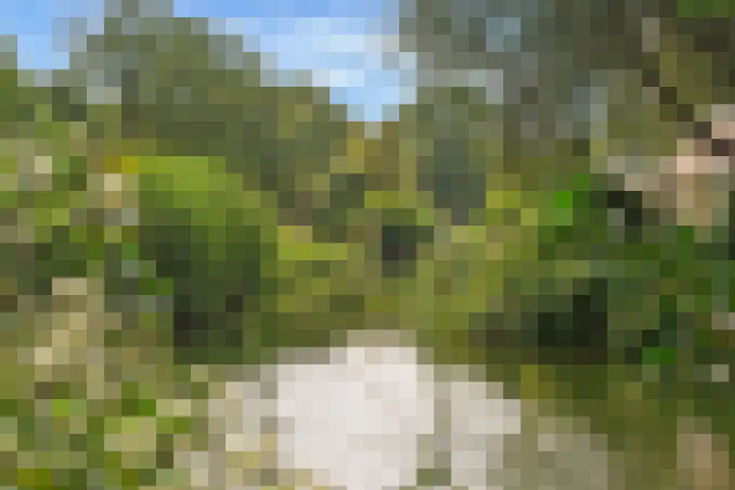 Fluweelboomlaan 79 Amstelveen thumbnail 38