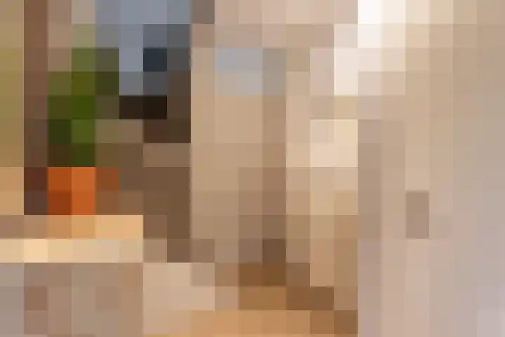 Fluweelboomstraat 27 Lent thumbnail 10