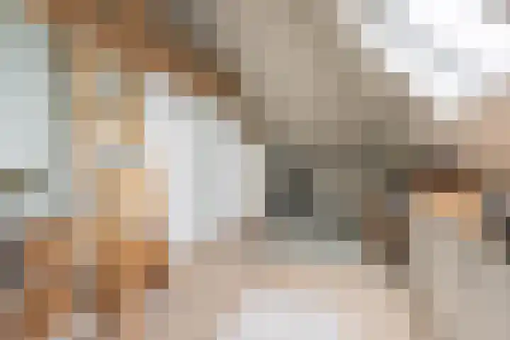 Fluweelboomstraat 27 Lent thumbnail 22