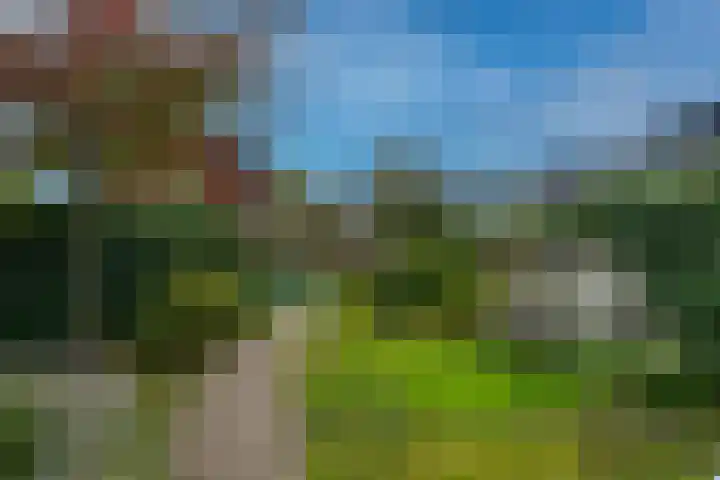 Fluweelboomstraat 27 Lent thumbnail 26