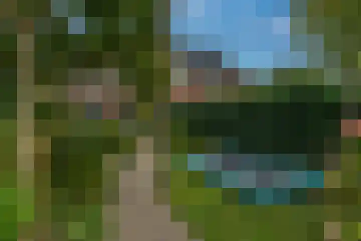 Fluweelboomstraat 27 Lent thumbnail 29
