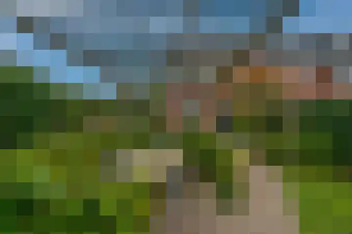 Fluweelboomstraat 27 Lent thumbnail 30