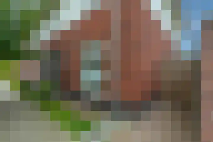 Fluweelboomstraat 27 Lent thumbnail 36
