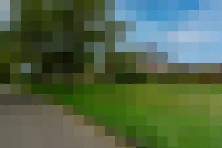 Fluweelboomstraat 27 Lent thumbnail 39