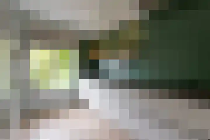 Fluweelboomstraat 27 Lent thumbnail 7