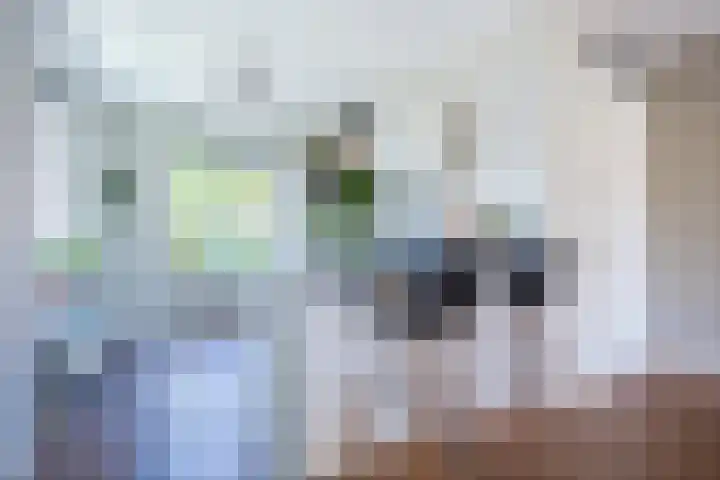 Fluweelboomstraat 28 Lent thumbnail 11