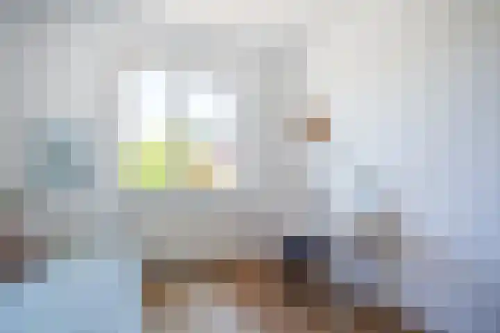 Fluweelboomstraat 28 Lent thumbnail 18