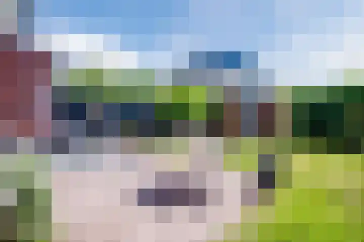 Fluweelboomstraat 28 Lent thumbnail 30