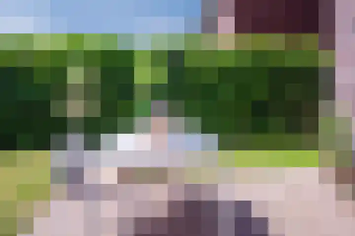 Fluweelboomstraat 28 Lent thumbnail 32