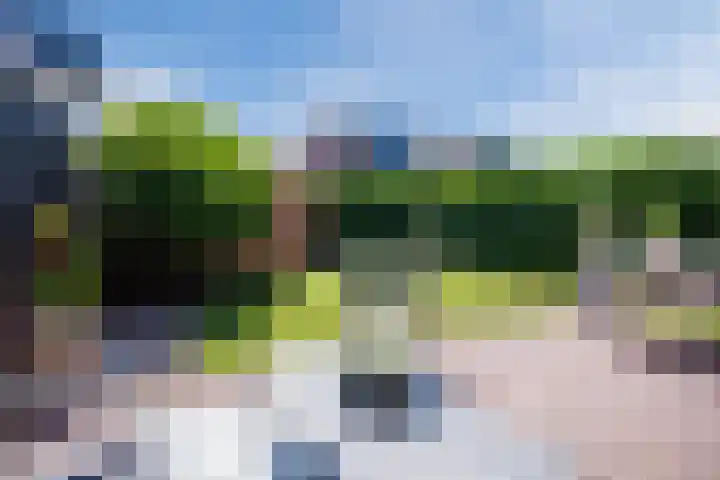 Fluweelboomstraat 28 Lent thumbnail 33
