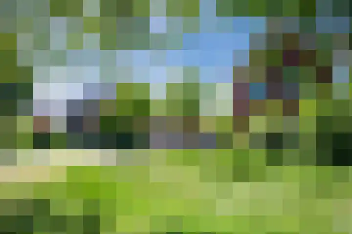 Fluweelboomstraat 28 Lent thumbnail 36