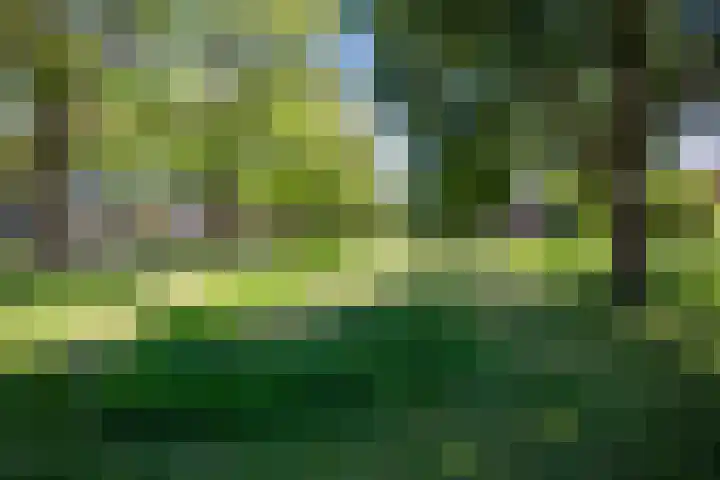 Fluweelboomstraat 28 Lent thumbnail 37