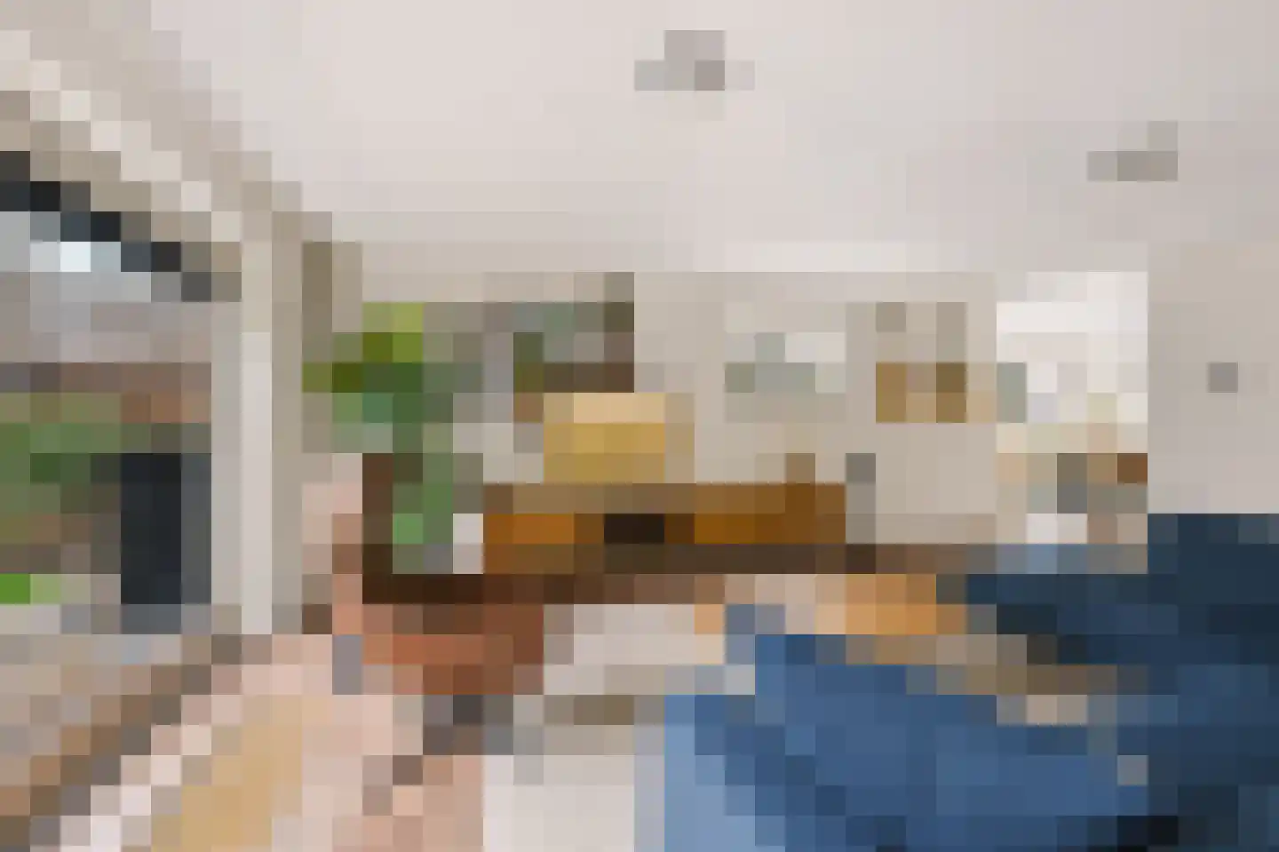 Fluweelmos 1 Houten thumbnail 12