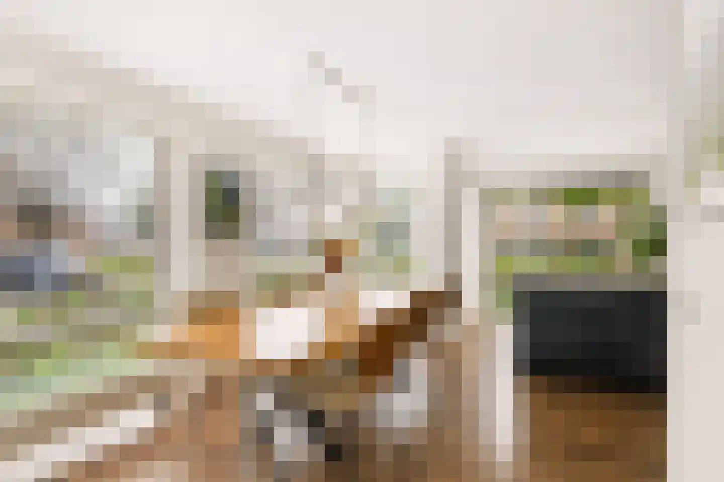 Fluweelmos 1 Houten thumbnail 16