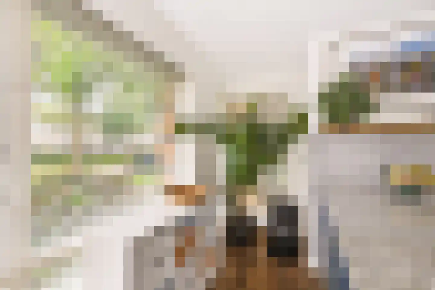 Fluweelmos 1 Houten thumbnail 23