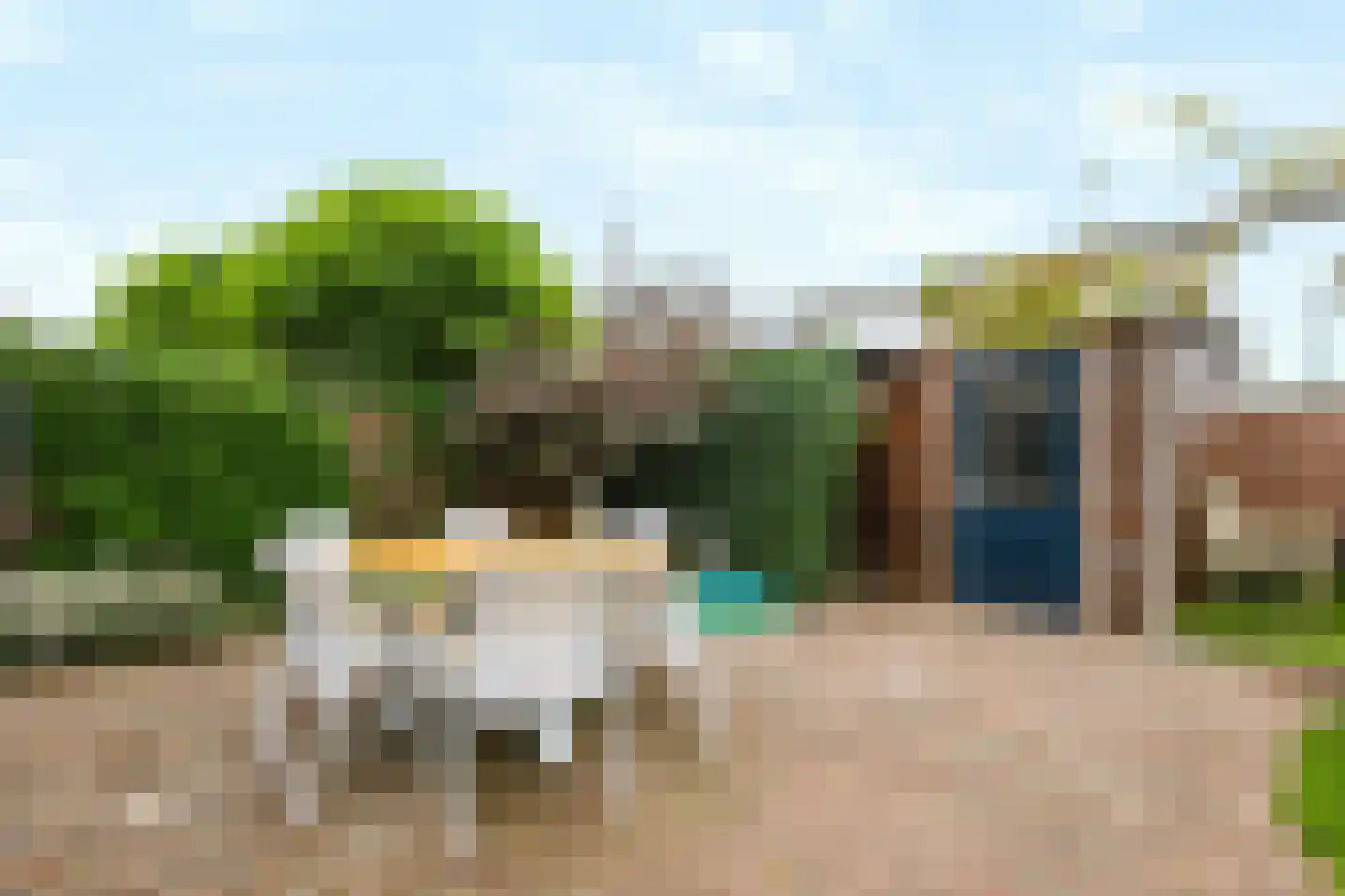 Fluweelmos 1 Houten thumbnail 29