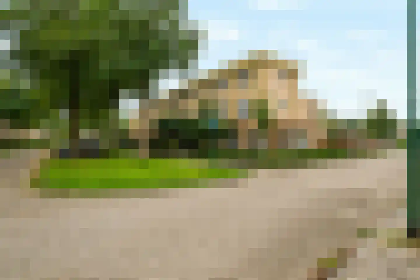 Fluweelmos 1 Houten foto 3