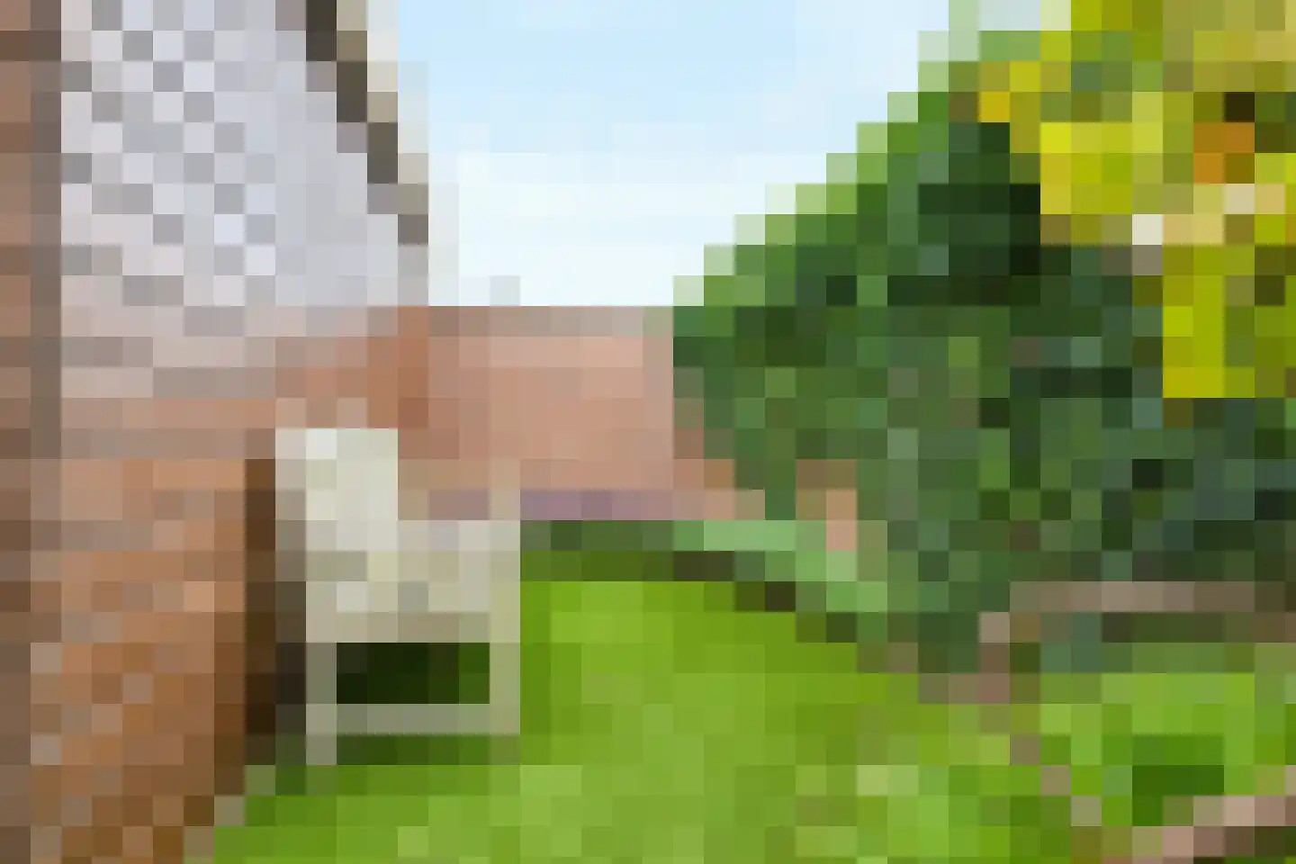 Fluweelmos 1 Houten thumbnail 30