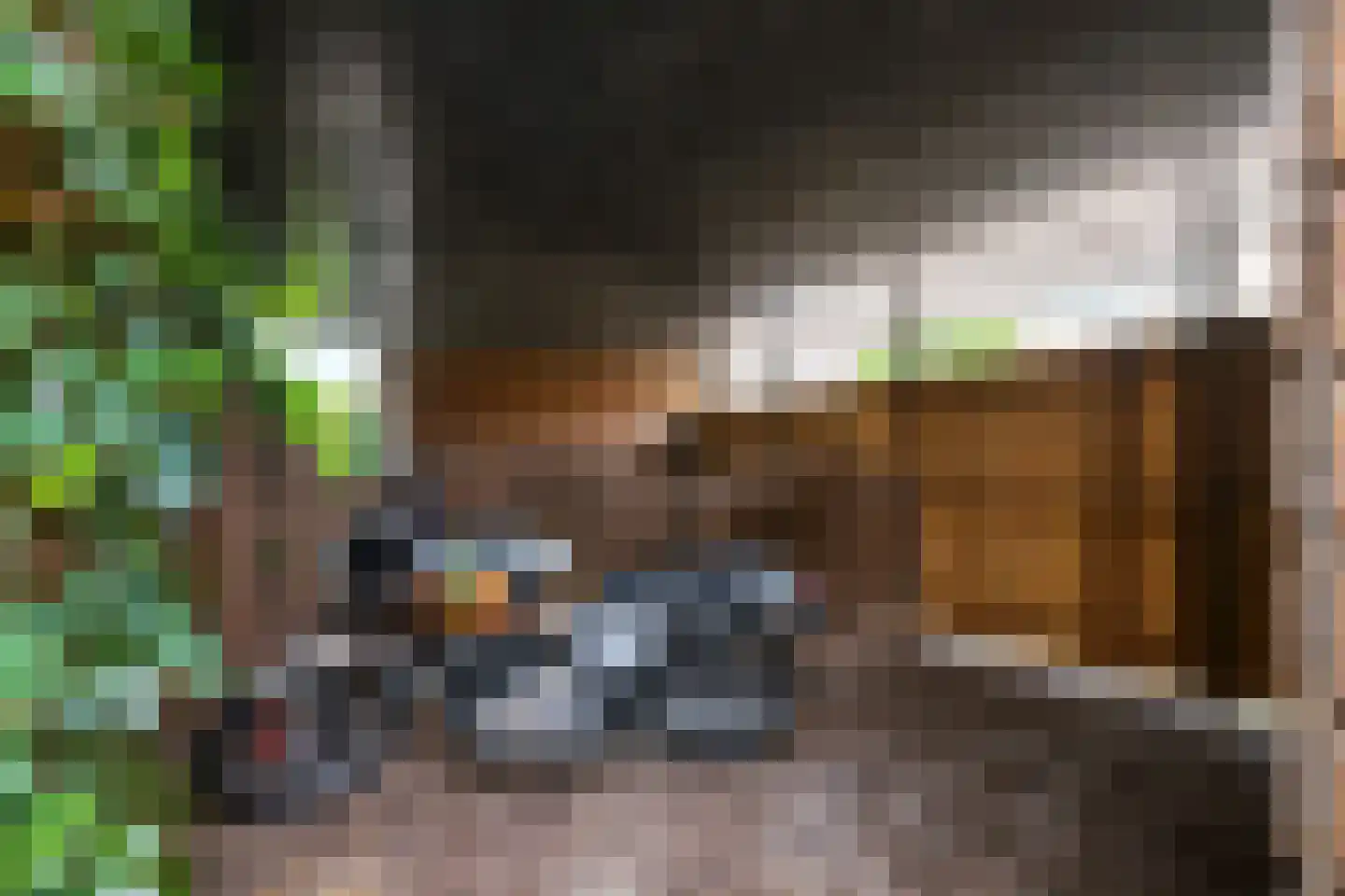 Fluweelmos 1 Houten thumbnail 31