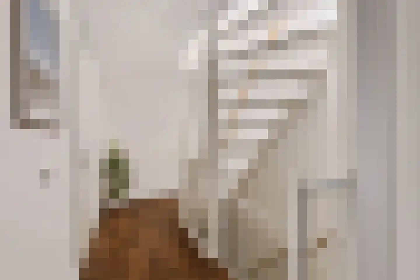 Fluweelmos 1 Houten thumbnail 33