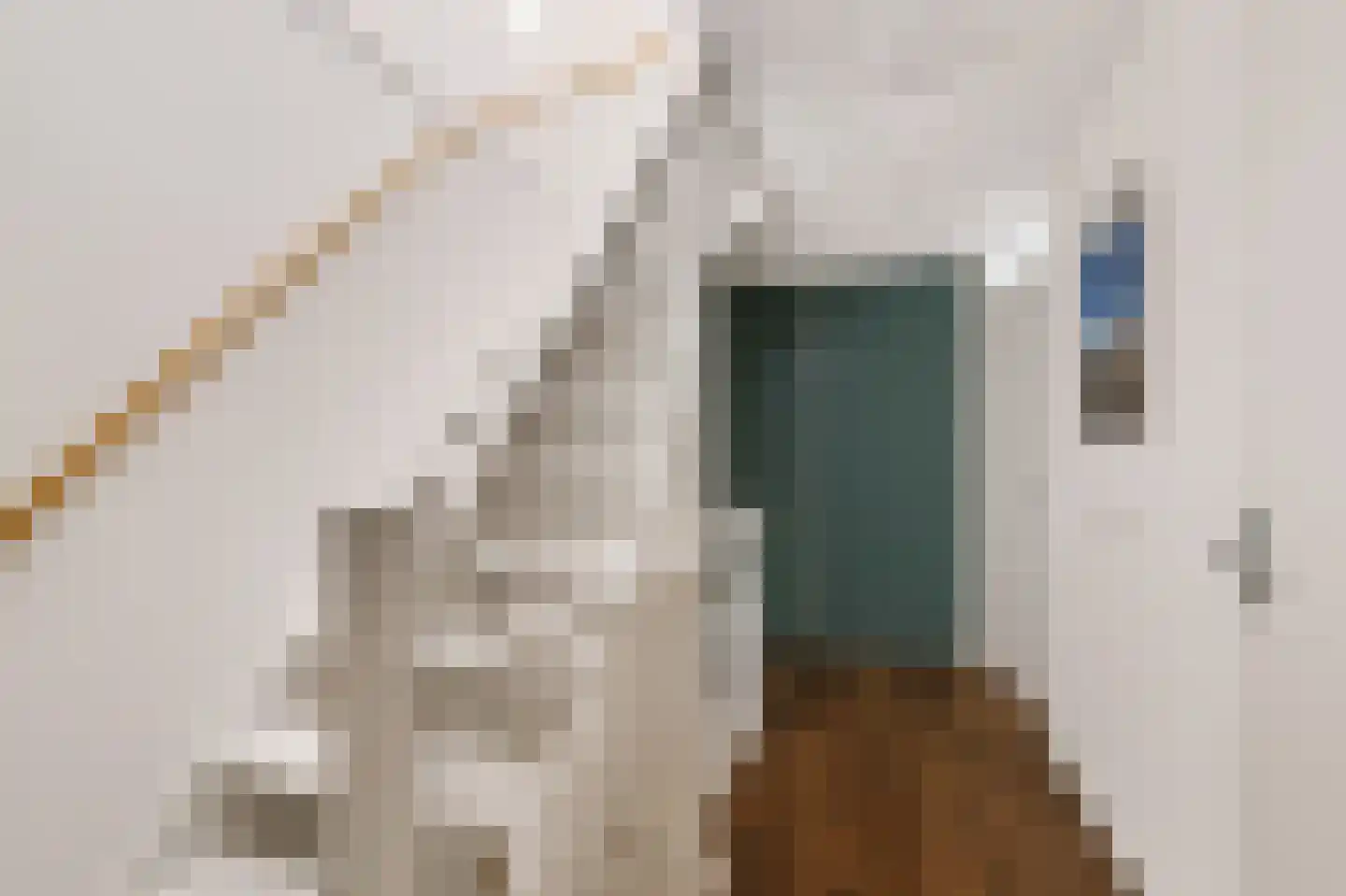 Fluweelmos 1 Houten thumbnail 34