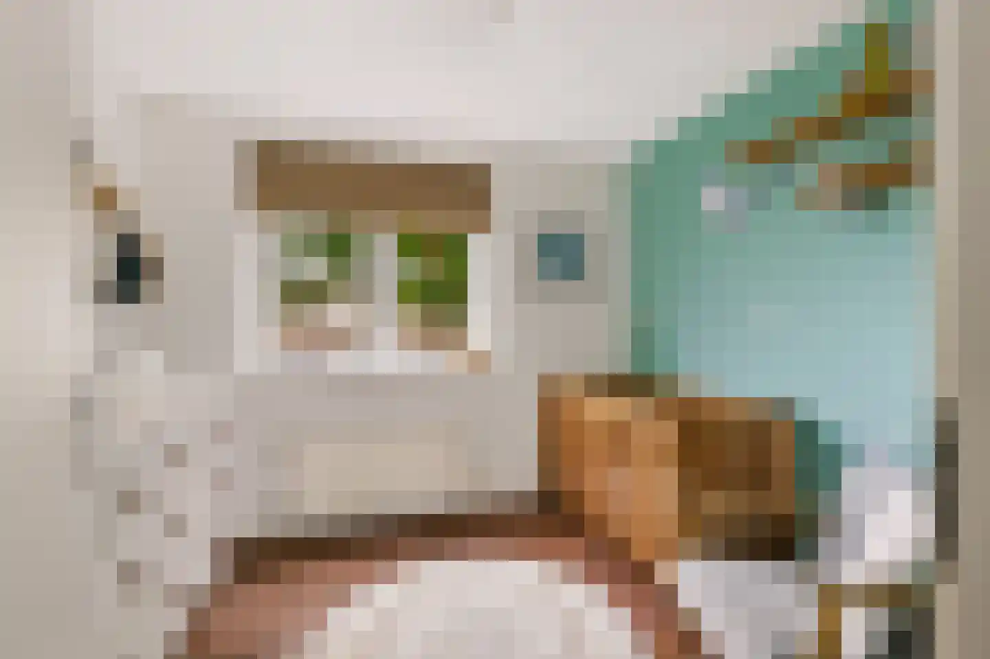 Fluweelmos 1 Houten thumbnail 38