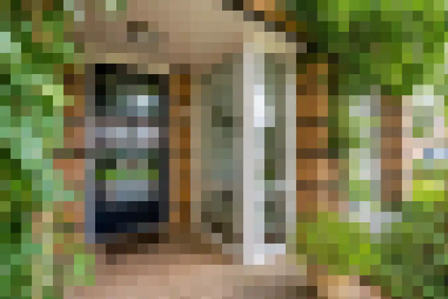Fluweelmos 1 Houten thumbnail 53