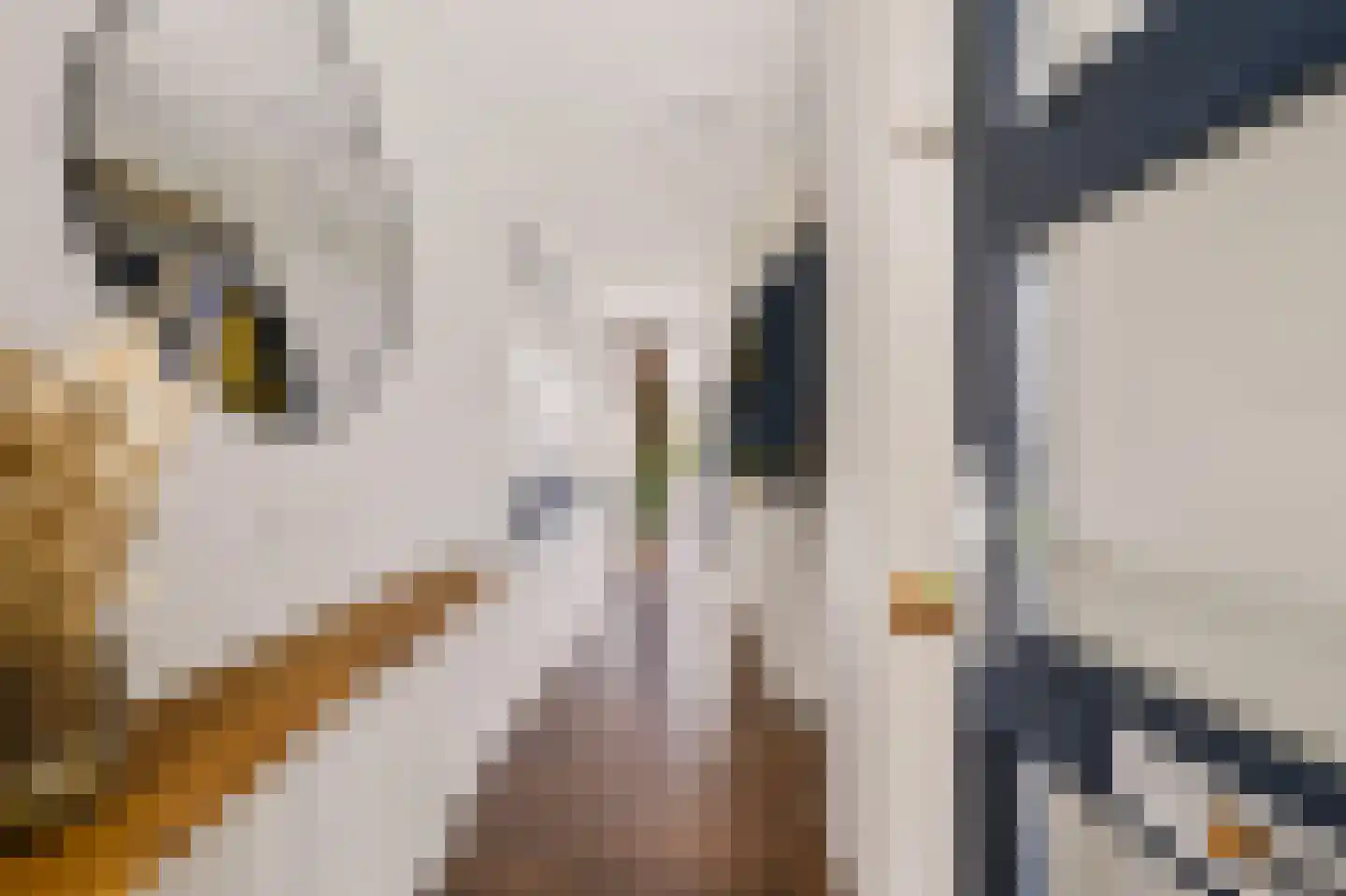Fluweelmos 1 Houten thumbnail 8