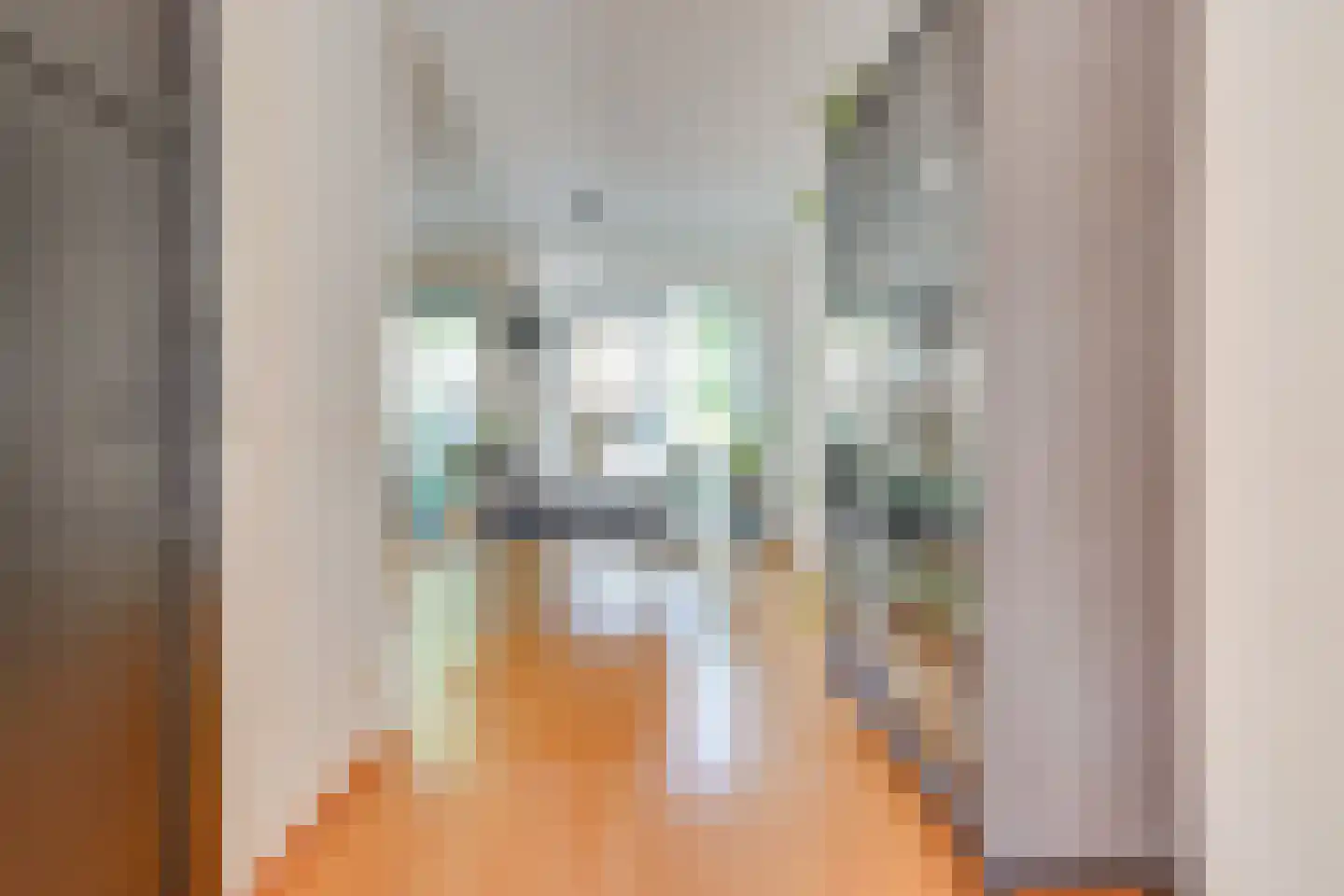 Fluweelmos 22 Houten thumbnail 12