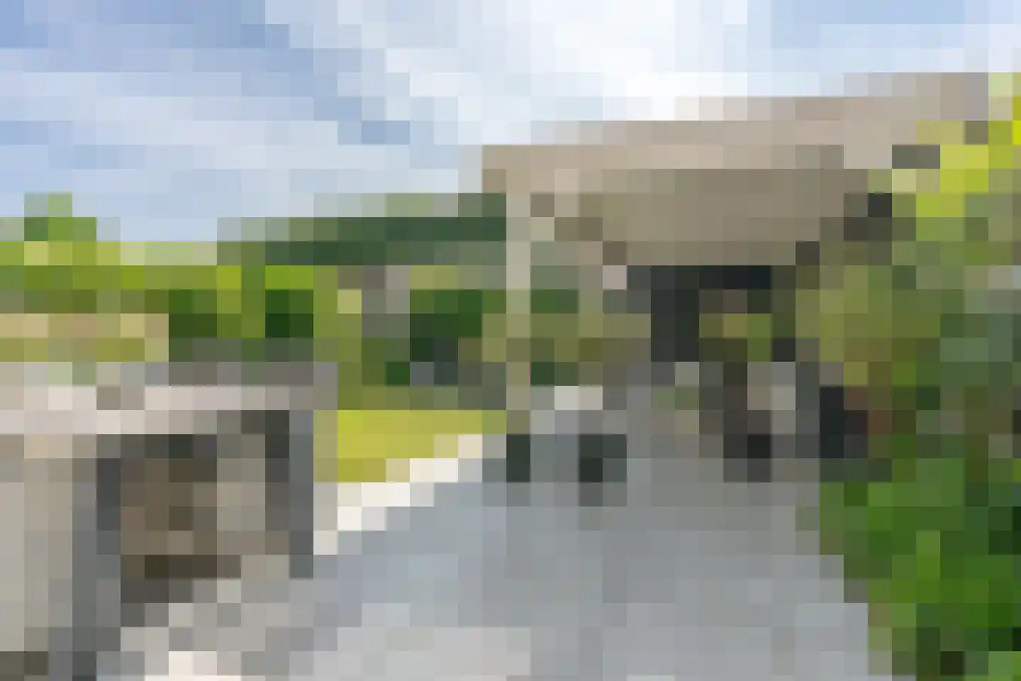 Fluweelmos 22 Houten thumbnail 23