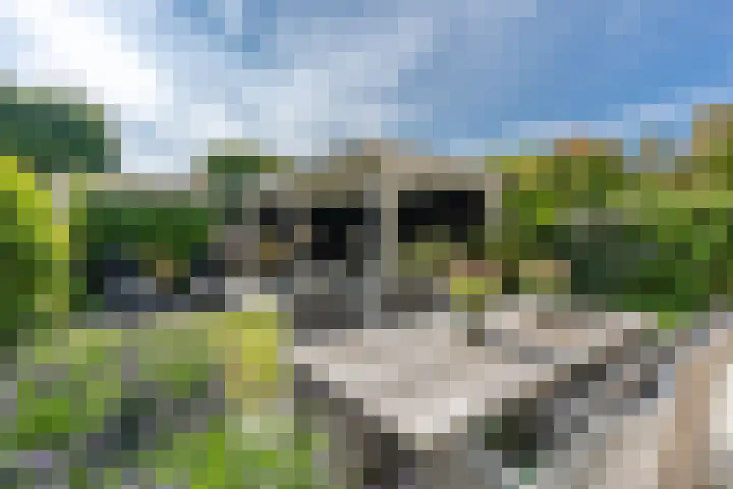 Fluweelmos 22 Houten thumbnail 24