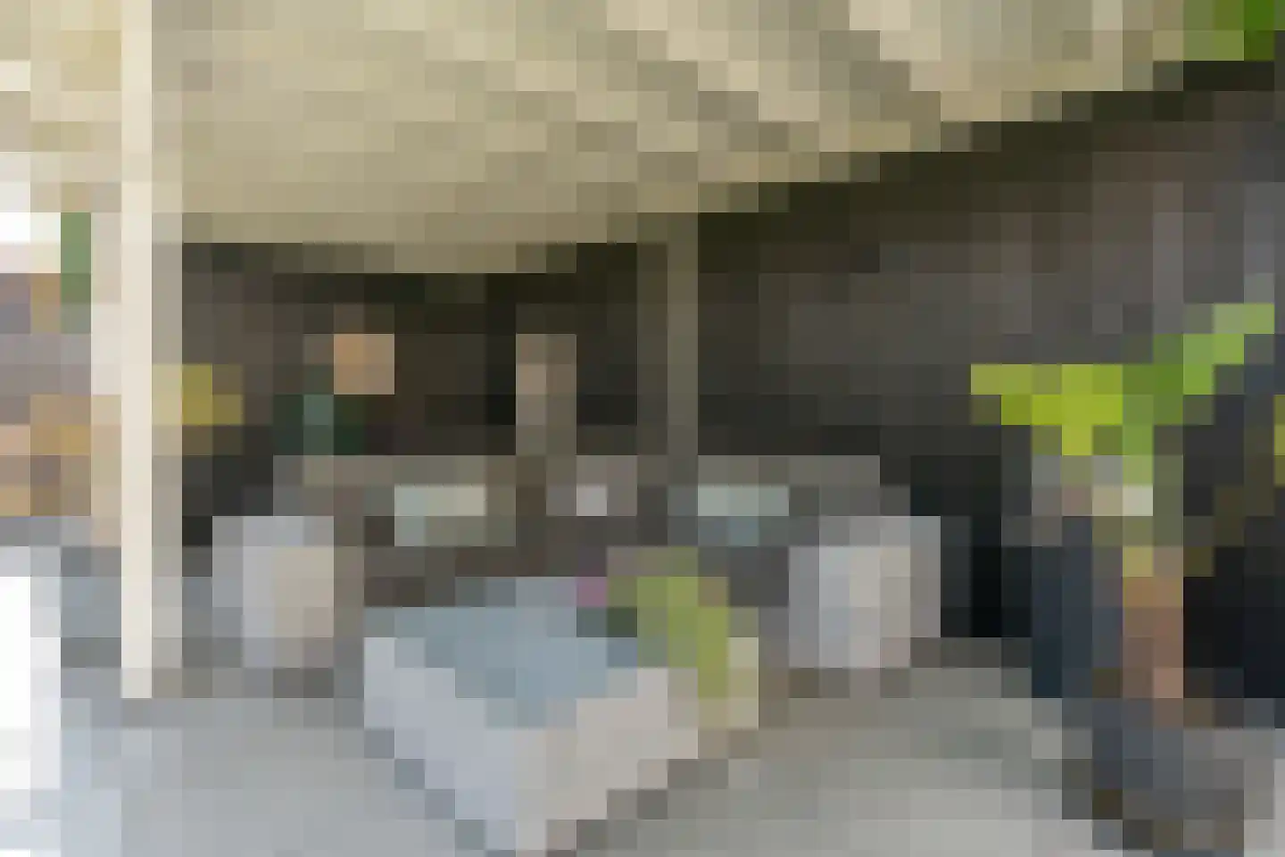 Fluweelmos 22 Houten thumbnail 26
