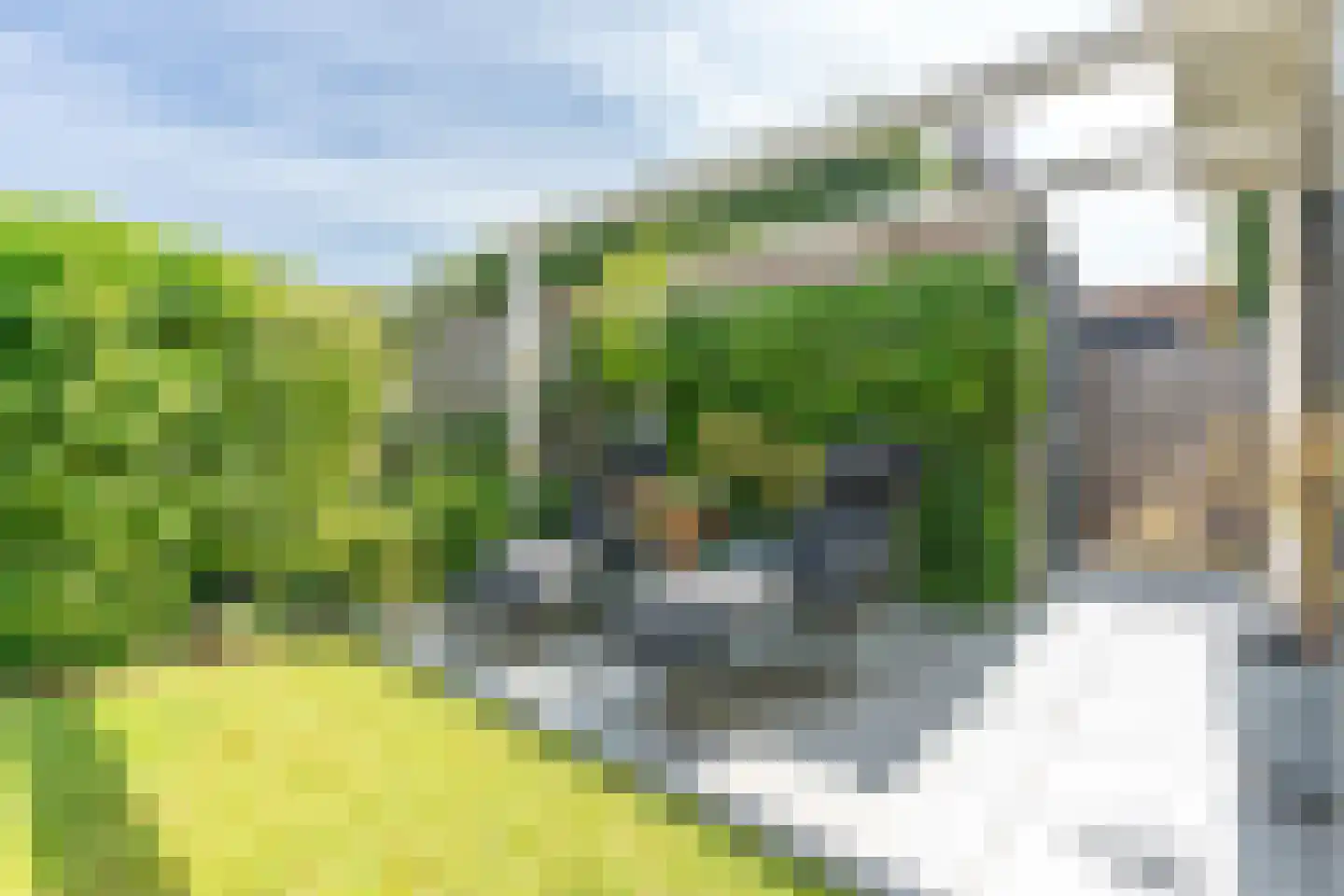 Fluweelmos 22 Houten thumbnail 28