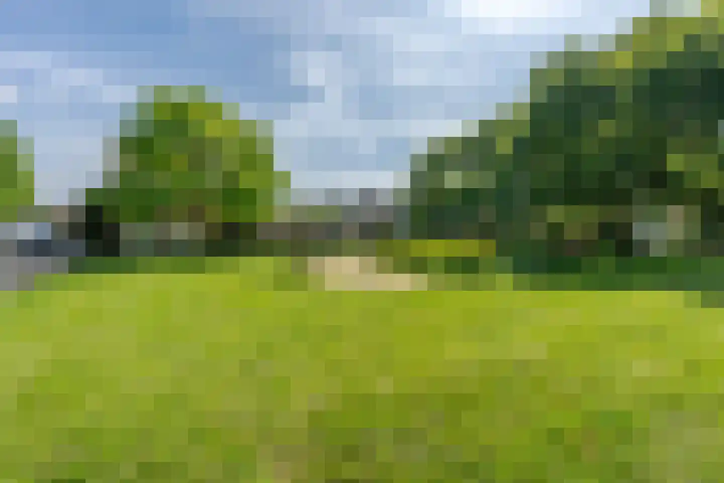 Fluweelmos 22 Houten thumbnail 59