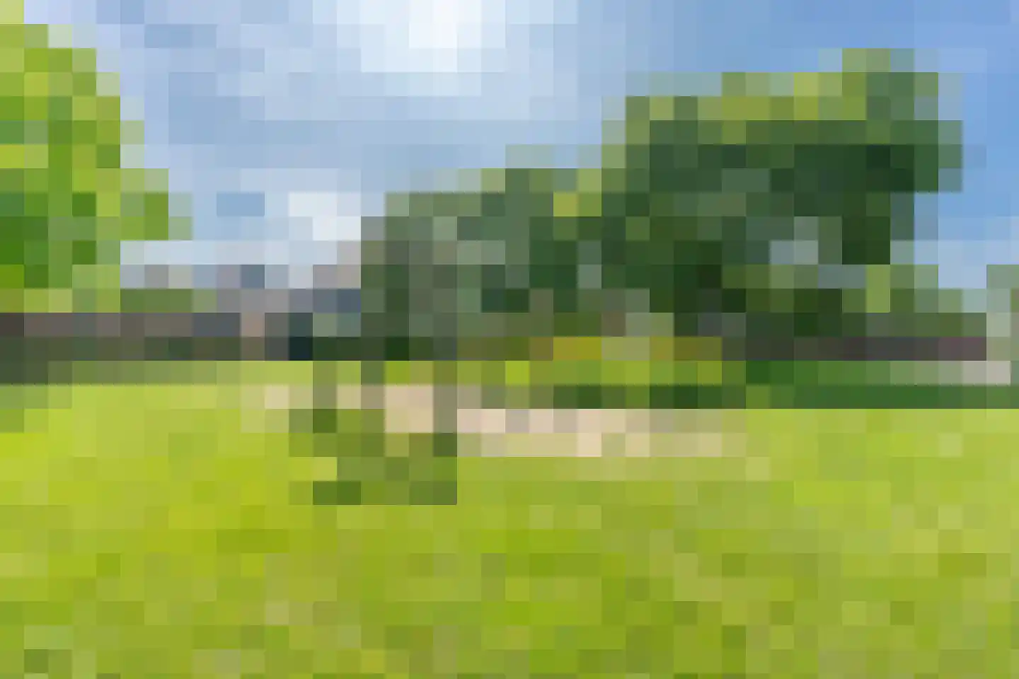 Fluweelmos 22 Houten thumbnail 60