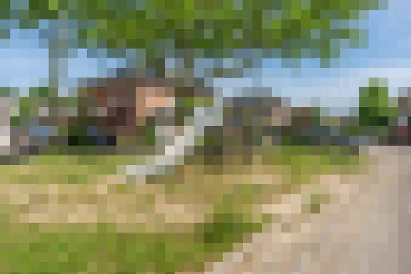 Fluweelmos 22 Houten thumbnail 61