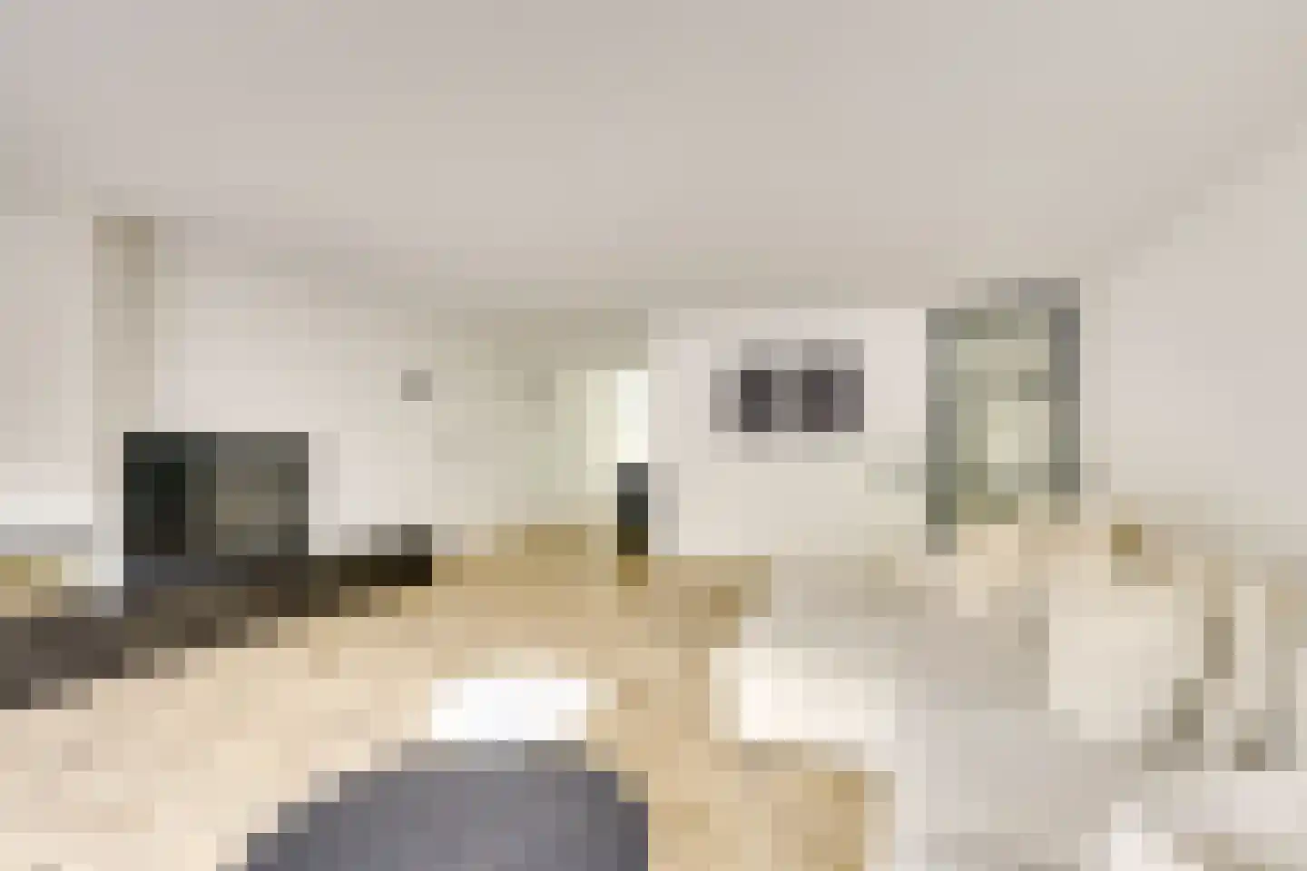 Fluweelmos 45 Houten thumbnail 11