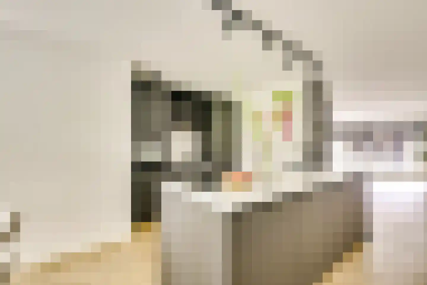 Fluweelmos 45 Houten thumbnail 4
