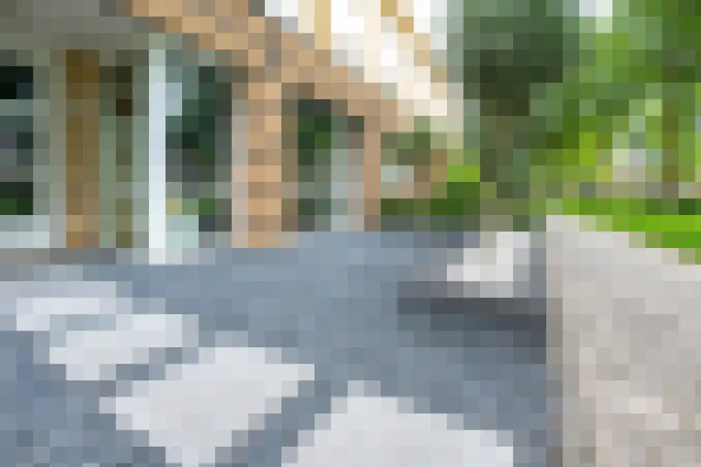Fluweelmos 45 Houten thumbnail 46