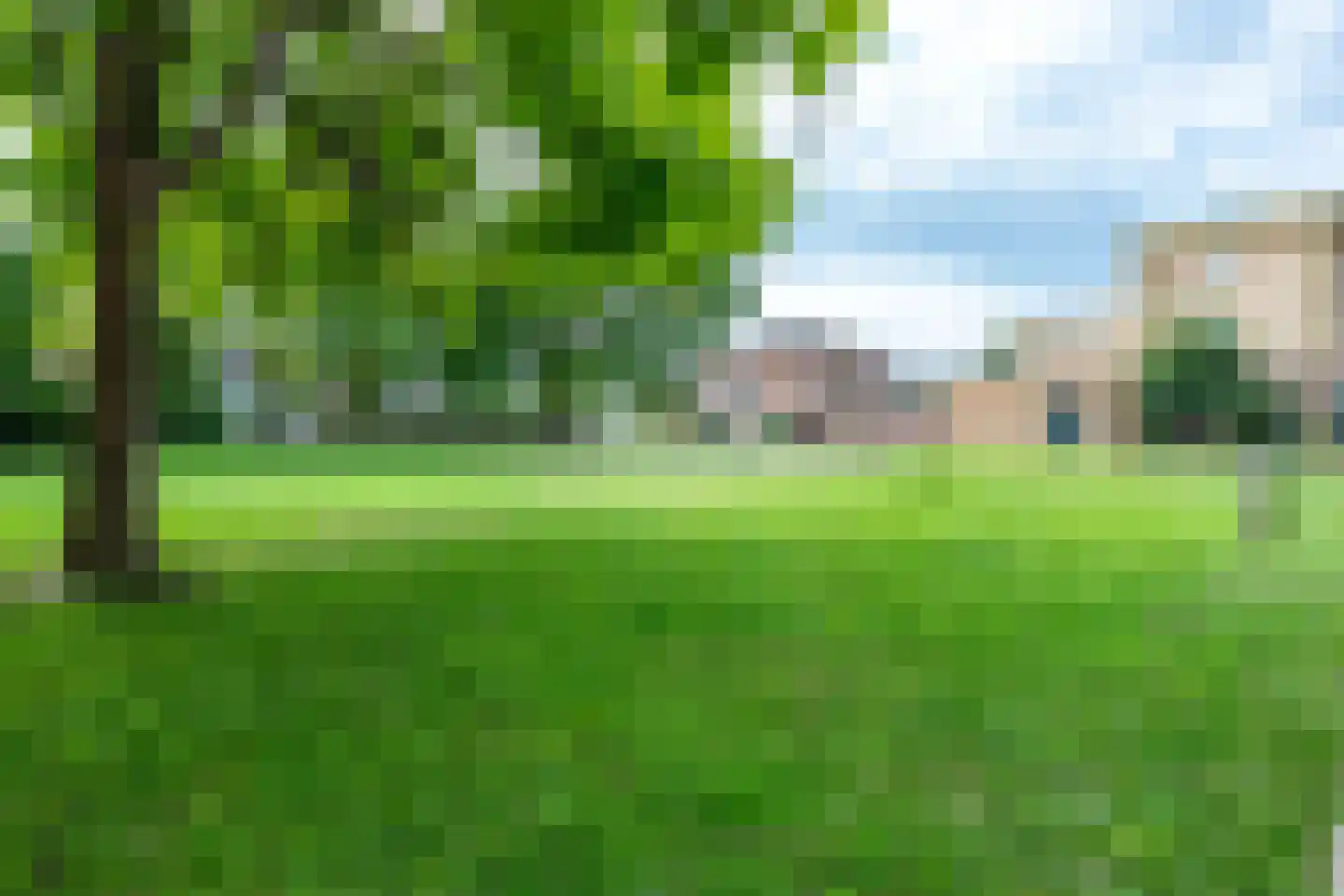 Fluweelmos 45 Houten thumbnail 49