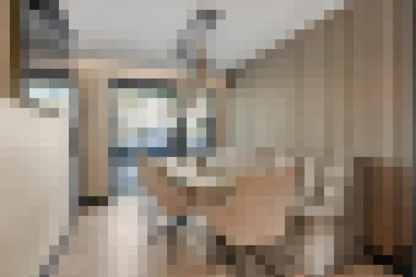 Fluweelmos 64 Houten thumbnail 11