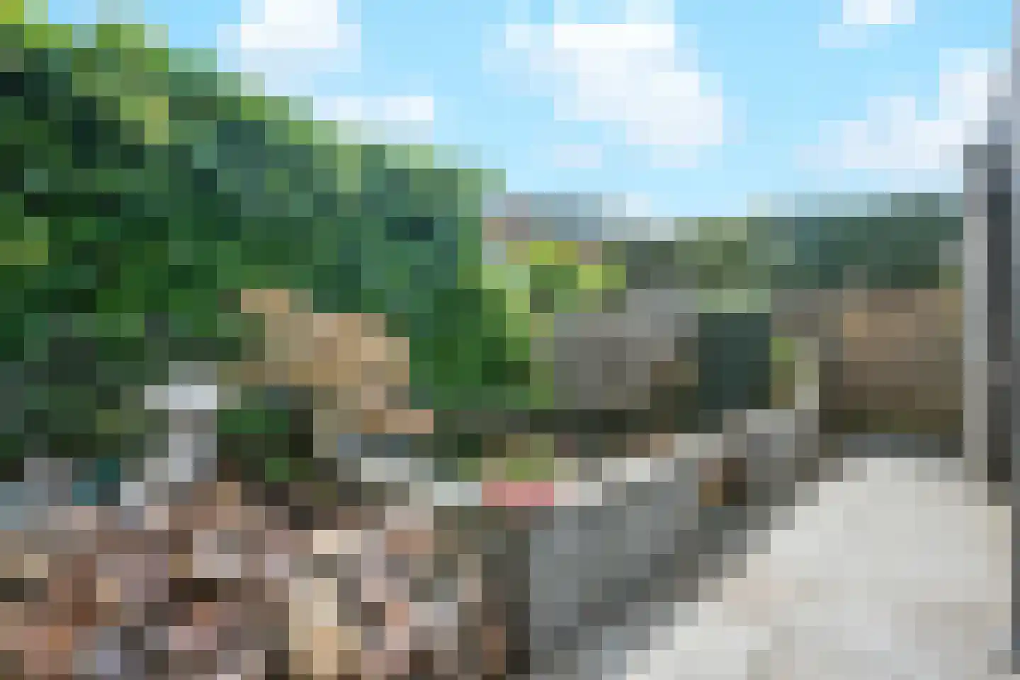 Fluweelmos 64 Houten thumbnail 24