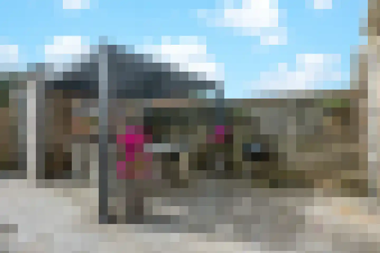 Fluweelmos 64 Houten thumbnail 25